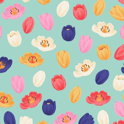 Разноцветные бутоны тюльпанов