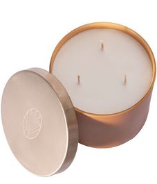 Pineapple Dream, свеча Feed your soul collection, Echoes