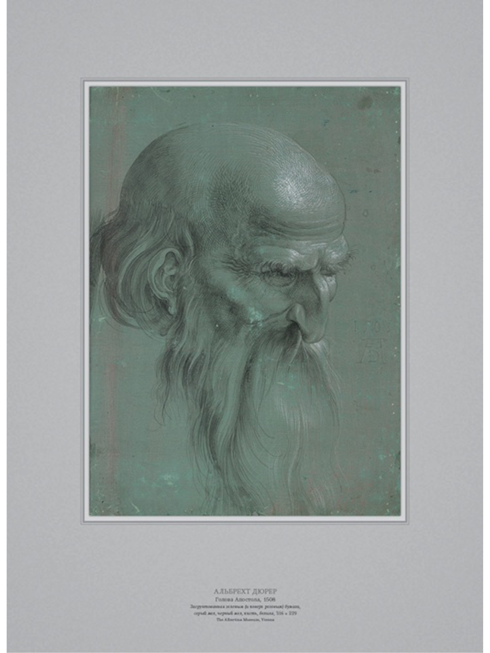 Образцы для копирования. Голова (листы 30х50см)