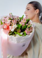 Альстромерия "S"