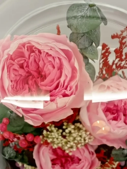 натуральные пионы в стекле