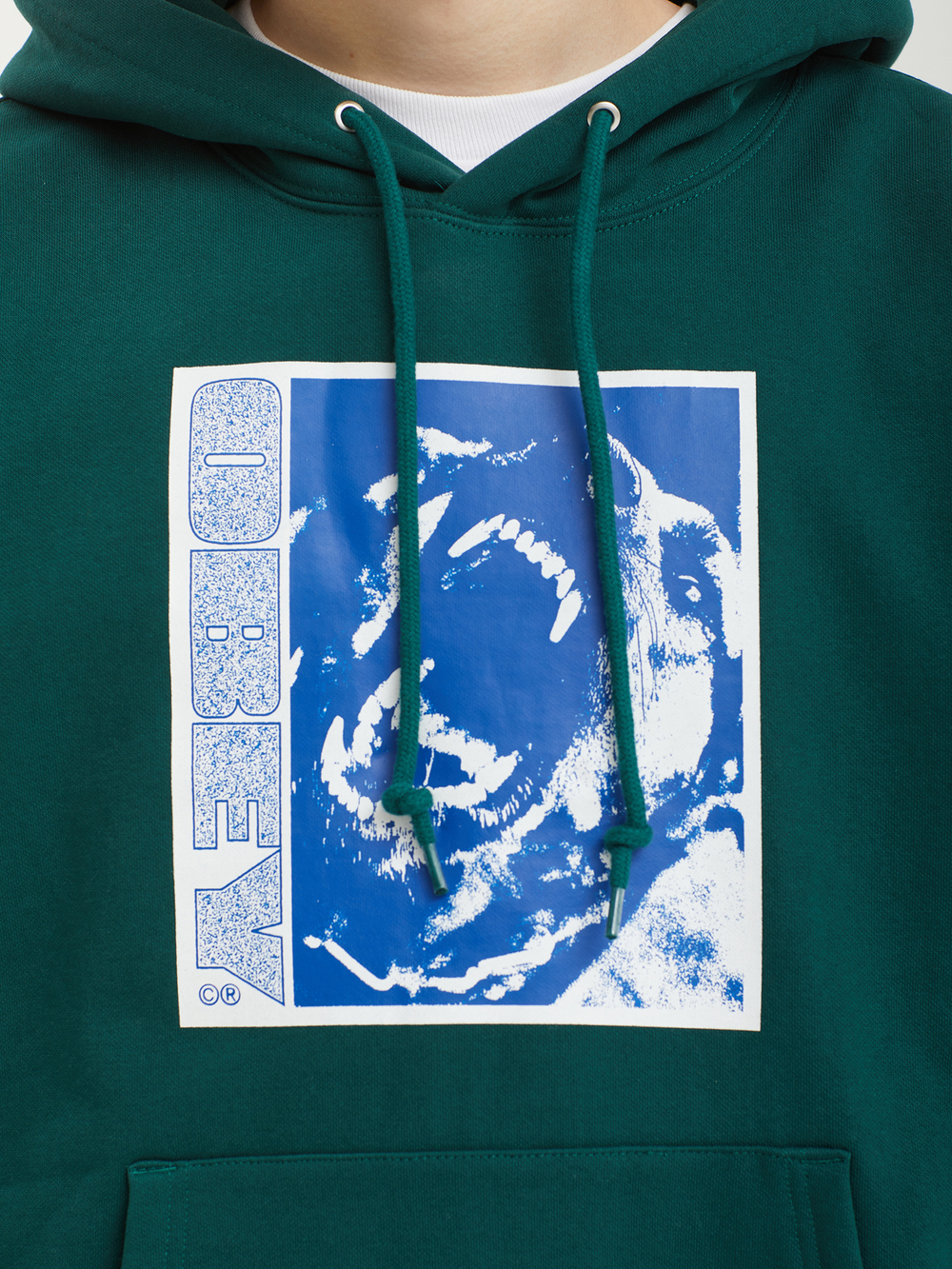 Мужская Толстовка Obey Stay Back