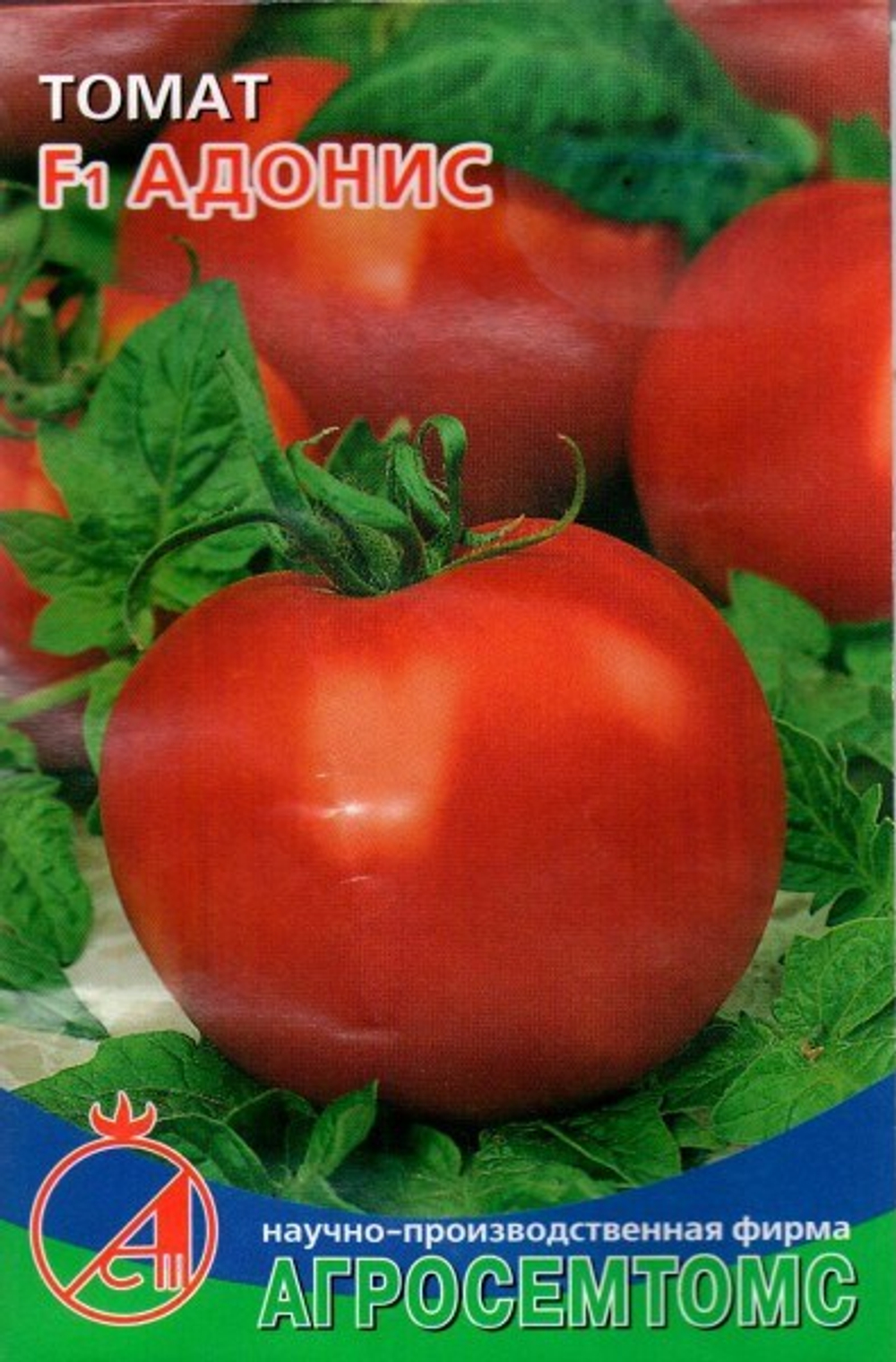 Томат Адонис Киров