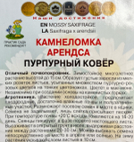 Камнеломка Арендса Пурпурный ковер 0,01 г СМЦ-41