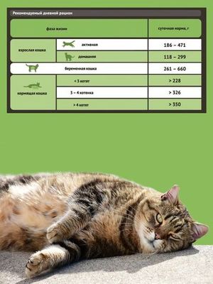 Консервы ProBalance Sensitive для кошек с чувствительным пищеварением