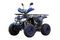 Квадроцикл UNIVERSAL ATV 125 TM Fusion plus