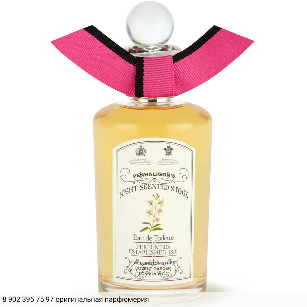 Night Scented Stock