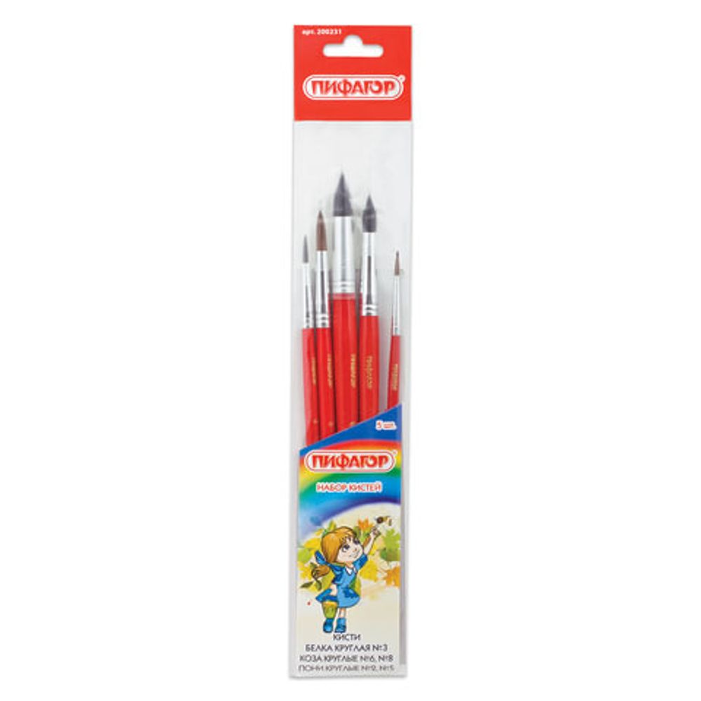 Кисти ПИФАГОР, набор 5 шт. (беличья круглая № 3, из ворса козы круглая № 6, 8, пони круглая № 2, 5), 200231