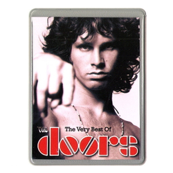 Чехол для проездного The Doors