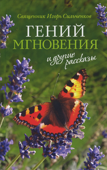 Гений мгновения и другие рассказы (Сретенский м.) (Священник Игорь Сильченков)