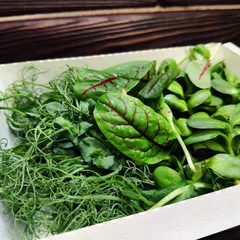 Микс из микрозелени (срез, лоток) / 70-75 гр / РАСПРОДАЖА