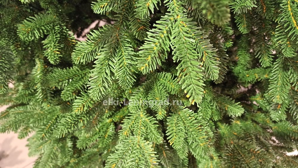 Искусственная ель «Монтерей» (Литая хвоя) от 1.5 до 2.4 м