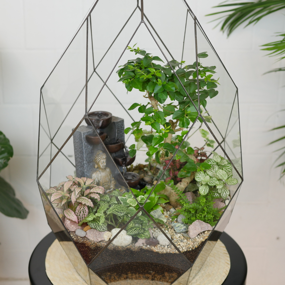 Готовый флорариум бонсай Лигуструм с водопадом Будда Фаберже