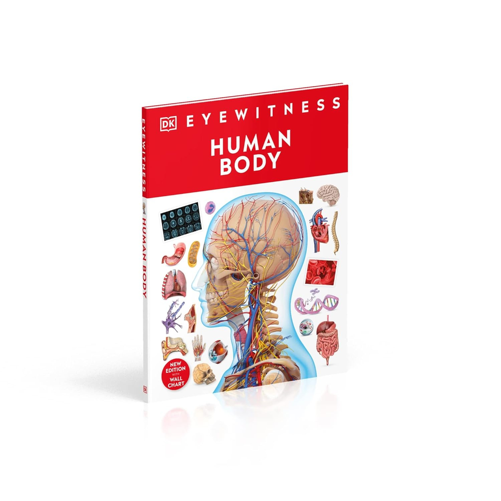 Human Body (DK Eyewitness)