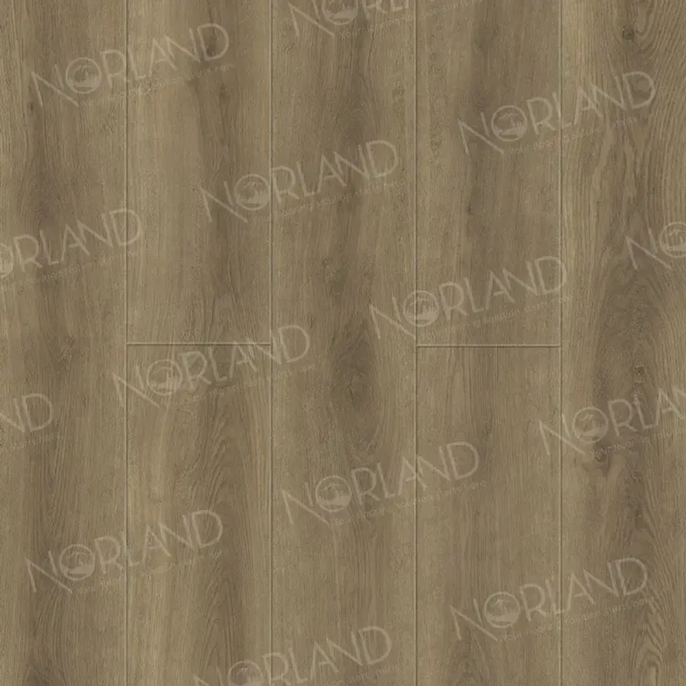 SPC PRO ламинат NEOWOOD Altaelva 2001-3 AlpineFloor