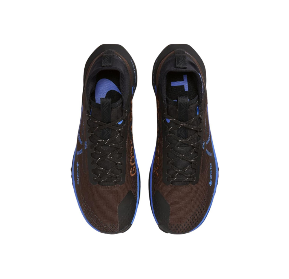 Мужские кроссовки Nike Pegasus Trail 4 Gore-tex 'Brown Black Blue' FB2193-200