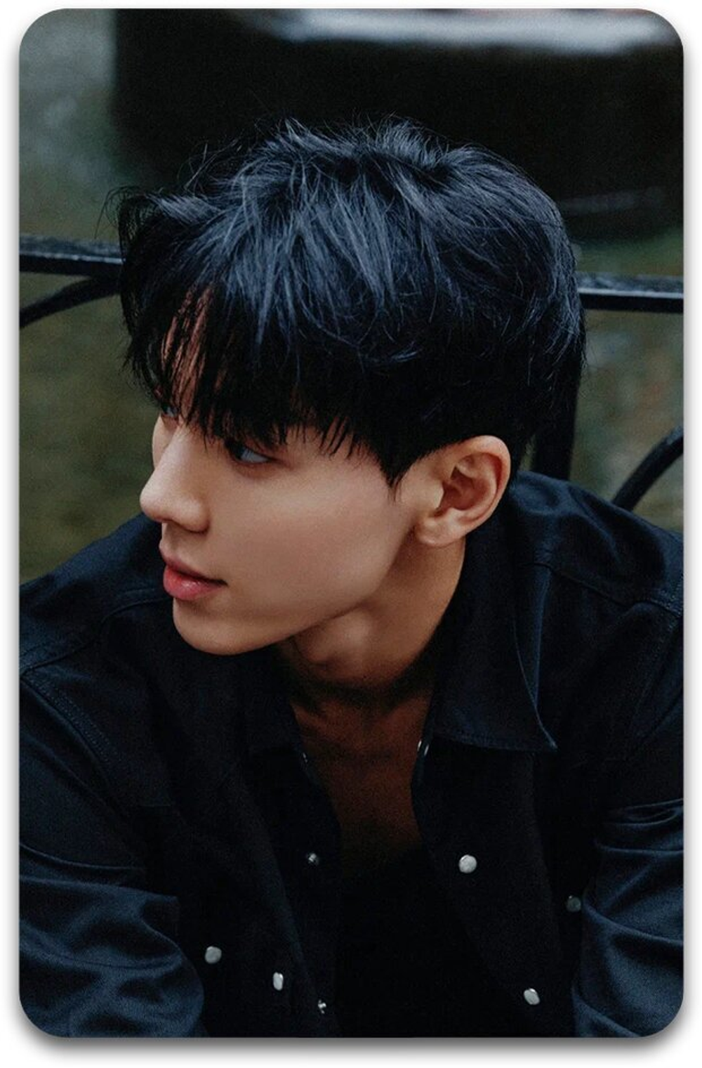 Карта #3461 / Shownu (MONSTA X)