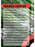 Лук Батун Рекион профессиональные семена 50г