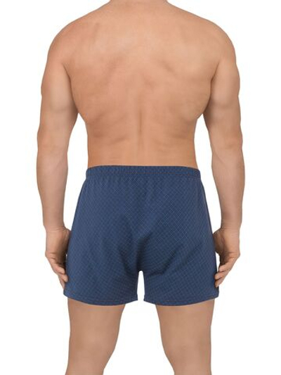 Мужские семейные трусы с рисунком-сеткой (Размер: M) (Цвет: темно-синий)