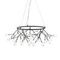 Подвесная люстра ST Luce Riccardo SL411.433.45