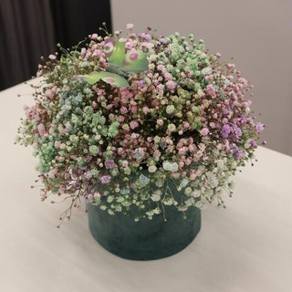 Радужная гипсофила в бархатной шляпной коробке.