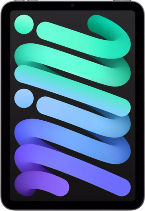 Apple iPad mini (2021) 64GB Wi-Fi Space Gray
