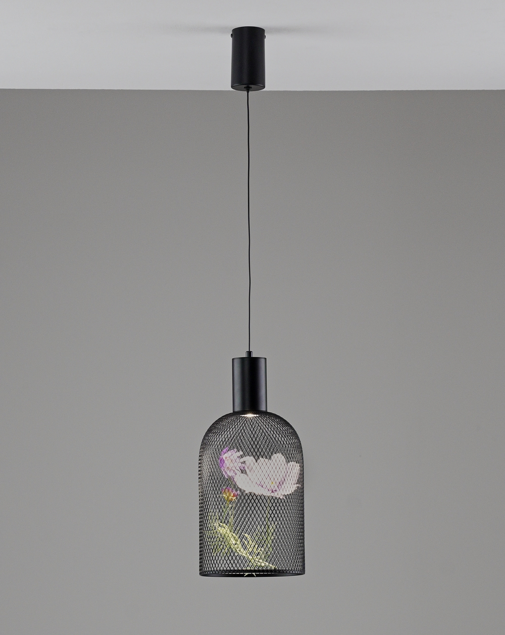 Светильник подвесной светодиодный Moderli V11874-PL Ophelia