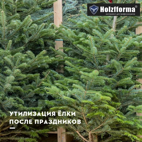 Как правильно утилизировать елку после праздников?
