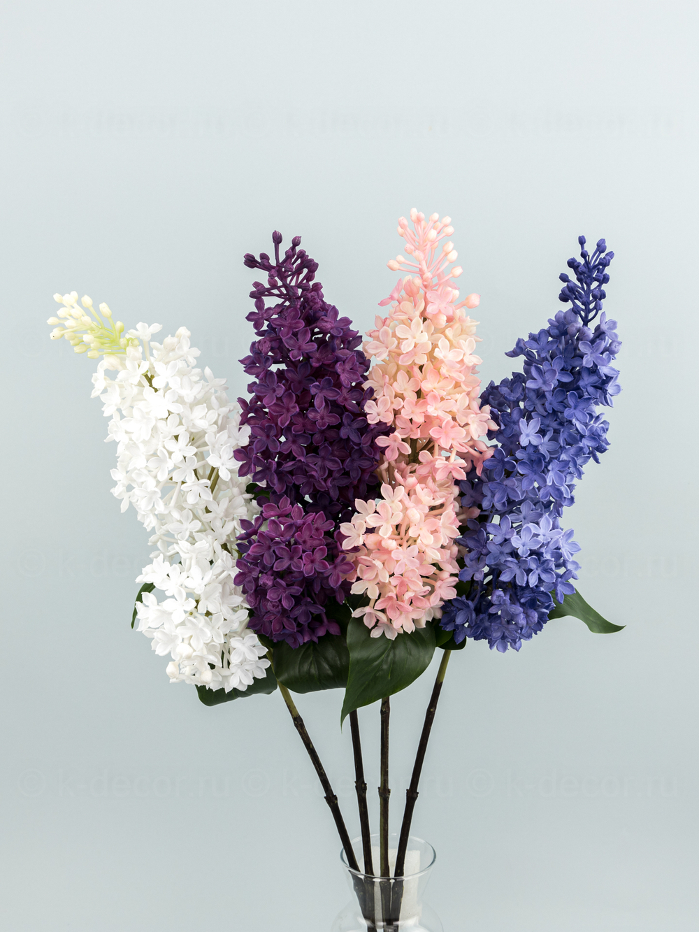 Сирень Премиум