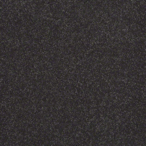 Ковровое покрытие Shaw Floors See the World III 531