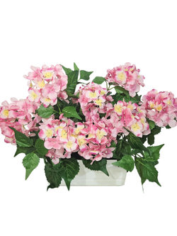 Гортензия розовая 35см в балконном ящике