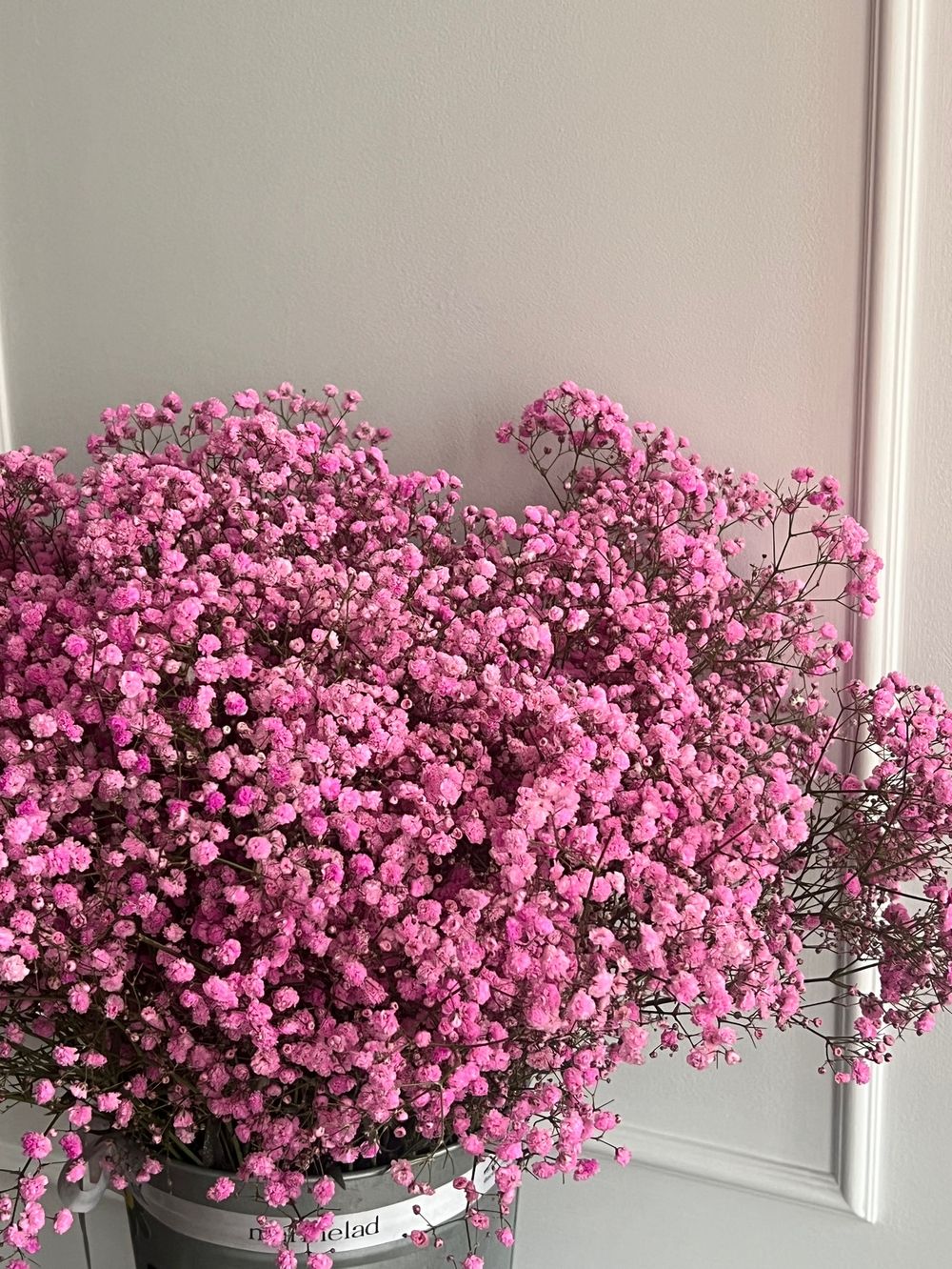 Гипсофила в розовом оттенке