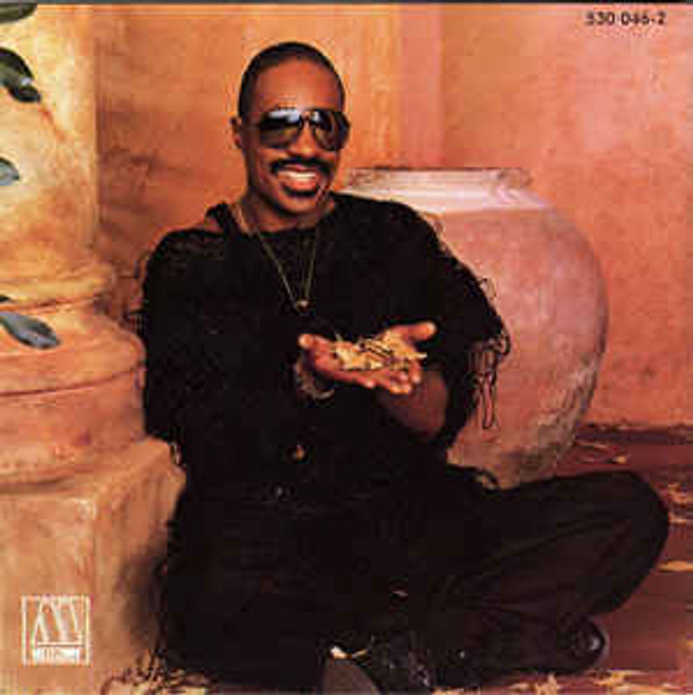 Stevie Wonder / In Square Circle (CD)