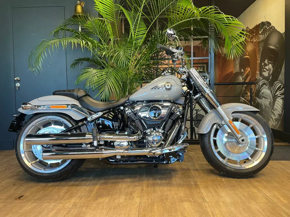 Harley-Davidson Fat Boy 117 Billiard Gray, 2025