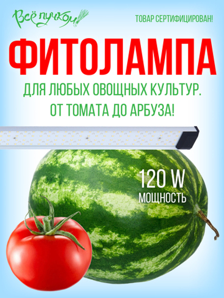 Фитолампа полный спектр