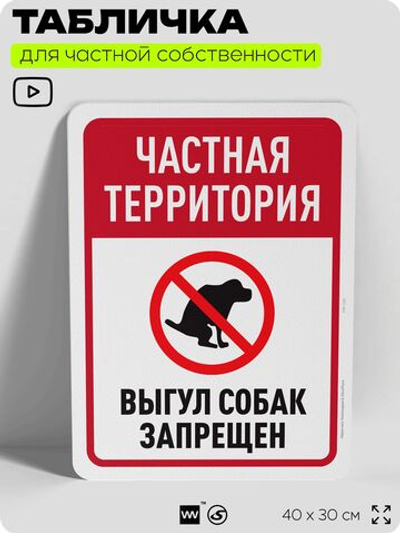 Табличка для частной территории "Частная территория, выгул собак запрещен", на дом, для участка, организаций, предупреждающая, 40х30 см, Silver Plane x Айдентика Технолоджи