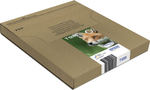 Epson Fox T128 Подлинный Черный, Голубой, Пурпурный, Желтый 1 шт C13T12854511