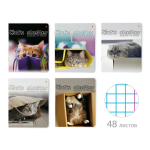 Тетрадь А5 48л. клетка "Кошкин дом" (Альт)