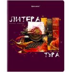 Тетрадь предметная со справочным материалом ORIGINAL 48 л., TWIN лак, ЛИТЕРАТУРА, линия, BRAUBERG, 404305