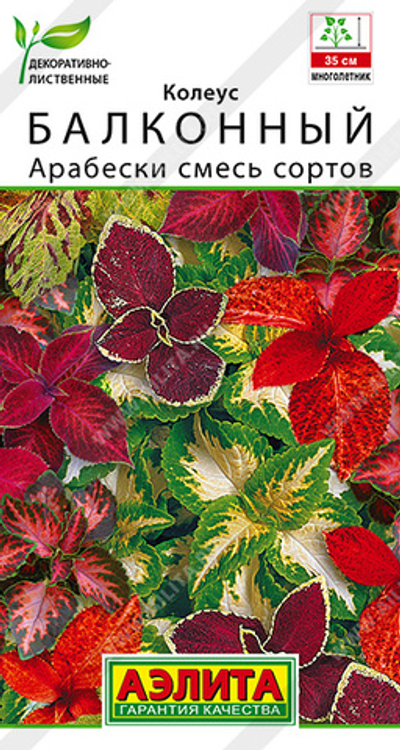 Колеус балконный Арабески, смесь сортов 5 шт (Аэлита)