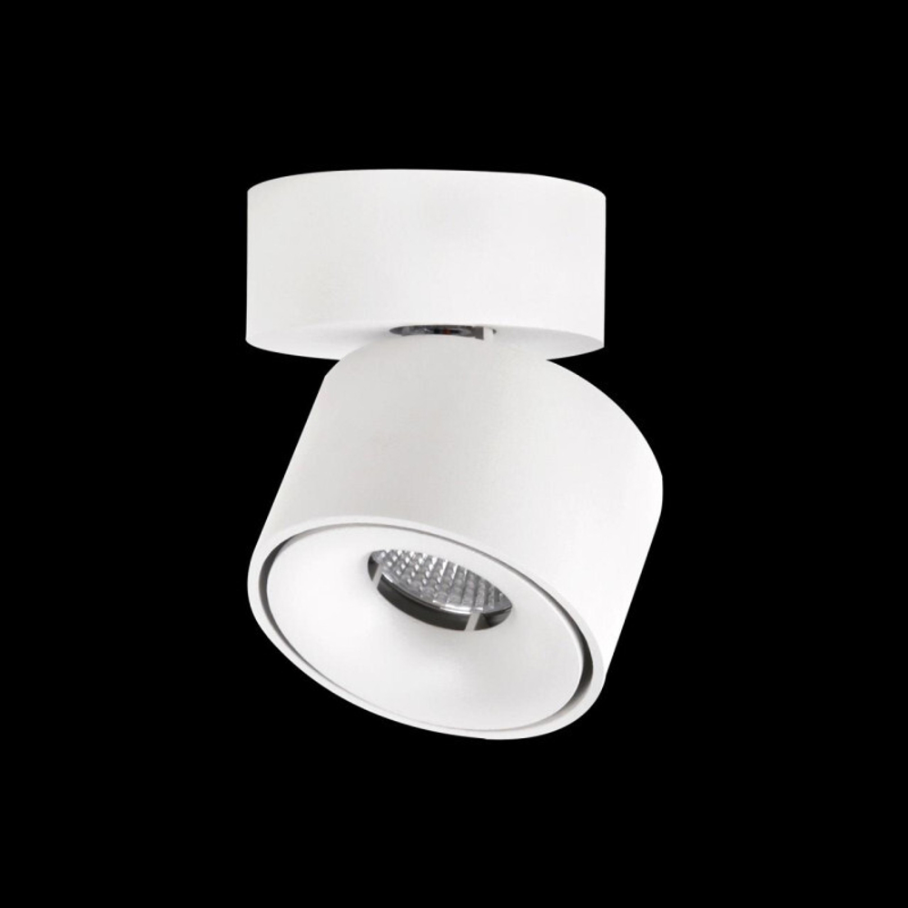 Спот Citilux CL558010N