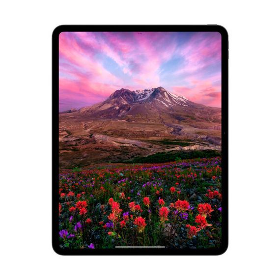 iPad Pro (M4, 2024) 11&quot; Wi-Fi + Cellular 256 ГБ (Silver / Серебристый)