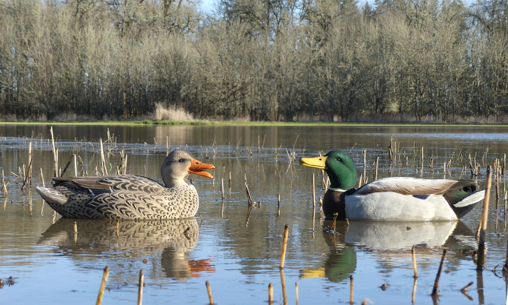 Кряква флок "FA LIVE MALLARD FLOATERS FULLY FLOCKED" 6 шт.