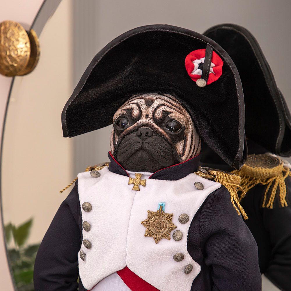 Кукла коллекционная Мопс Бонапарт