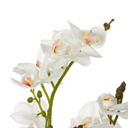 GAEM Цветочная композиция "Орхидея", L22 W22 H47 см