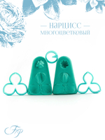 Нарцисс многоцветковый