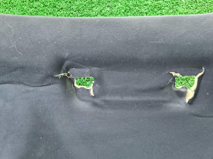 Обшивка потолка Lexus RX 4 (2019-2022)