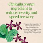 Nature's Way, Umcka®, жевательные таблетки для снятия аллергии и синусита, для детей от 6 лет, вишня, 20 таблеток