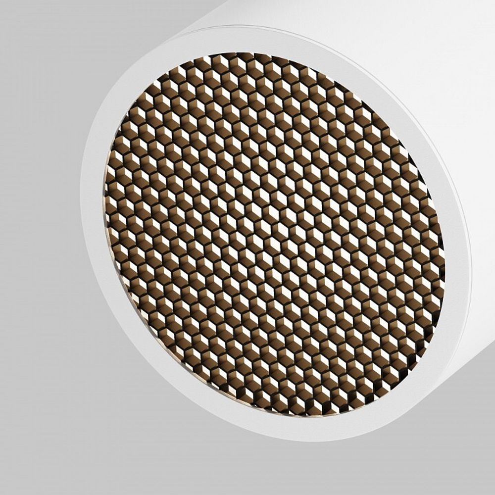 Светильник на штанге Maytoni  TR225-1-GX53-W