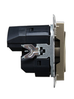 BRITE Розетка 1-местная с заземлением с защитными шторками 16А с USB A+C 18Вт РЮш11-1-БрШ шампань IEK